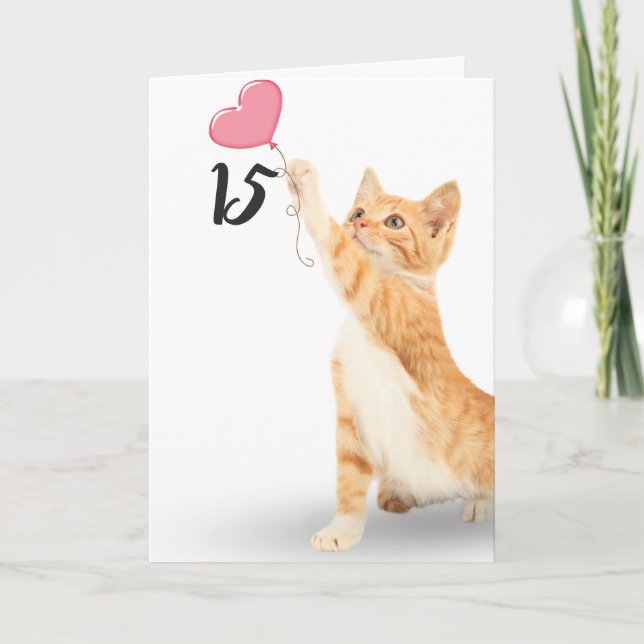 15th birthday tabby cat card (Front)
