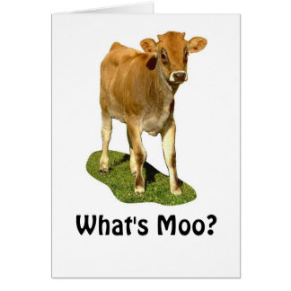 1607513, What's Moo? Cards