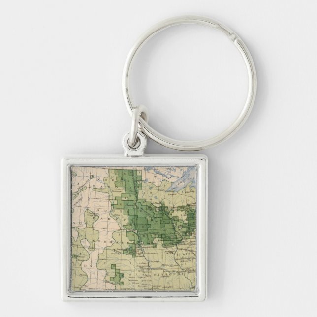 161 Barley/sq mile Keychain (Front)