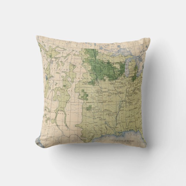 161 Barley/sq mile Throw Pillow (Front)