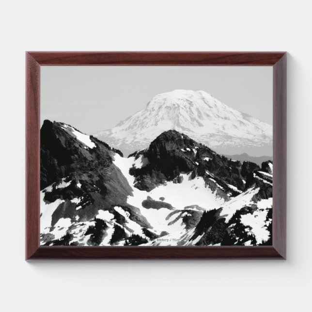 165 AWARD PLAQUE (Horizontal)