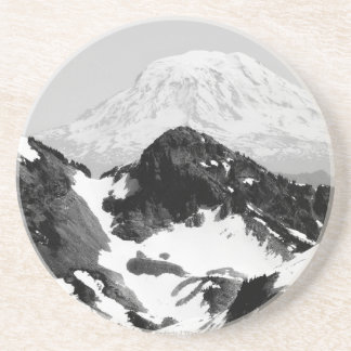 165 COASTER