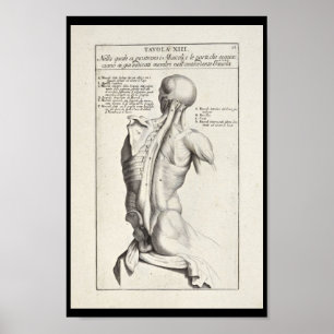 1691 Artistic Anatomy Back Muscles Art Print