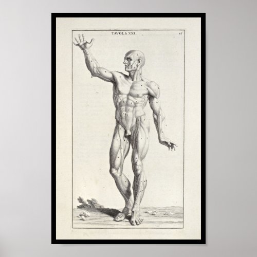 1691 Artistic Anatomy Muscles Body Art Print