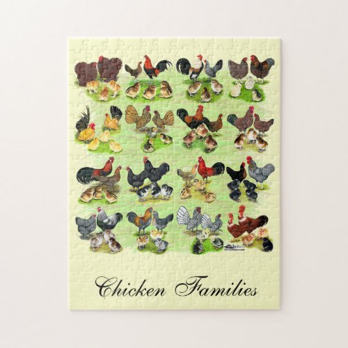 16 Chicken Families Jigsaw Puzzle