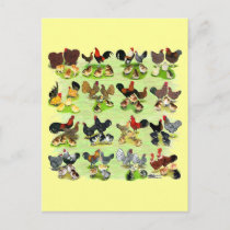 16 Chicken Families Postcard