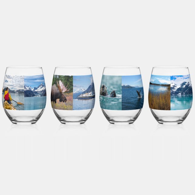 16 Family Vacation Photos Stemless Wine Glass (Front)