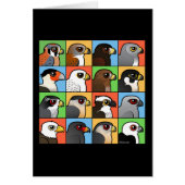 16 North American Raptor Profiles (Front)