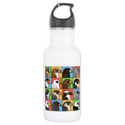 16 North American Raptor Profiles Water Bottle (24 oz)