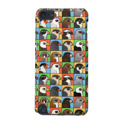 16 North American Raptor Profiles Case-Mate Barely There 5th Generation iPod Touch Case
