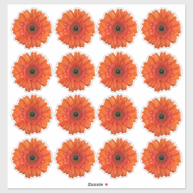 16 Orange Gerbera Daisy Flower Kiss-Cut Stickers | Zazzle