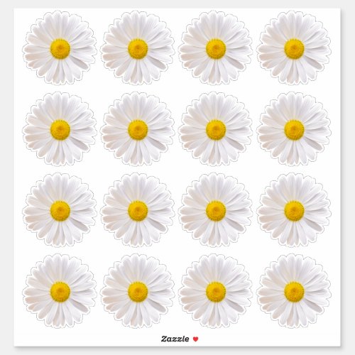 16 Shasta Daisy Flower Kiss_Cut Stickers