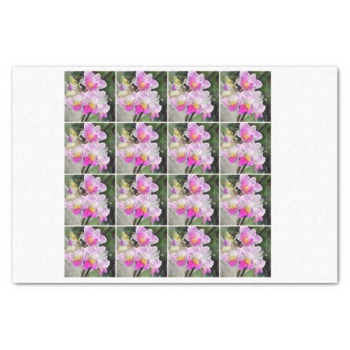 16 watercolor pink orchid decoupage chintz tissue paper