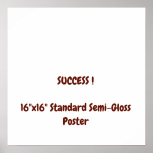 16"x16" Standard Semi-Gloss Poster