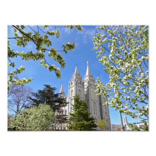 16 X 12 Salt Lake City LDS Temple Photo Print