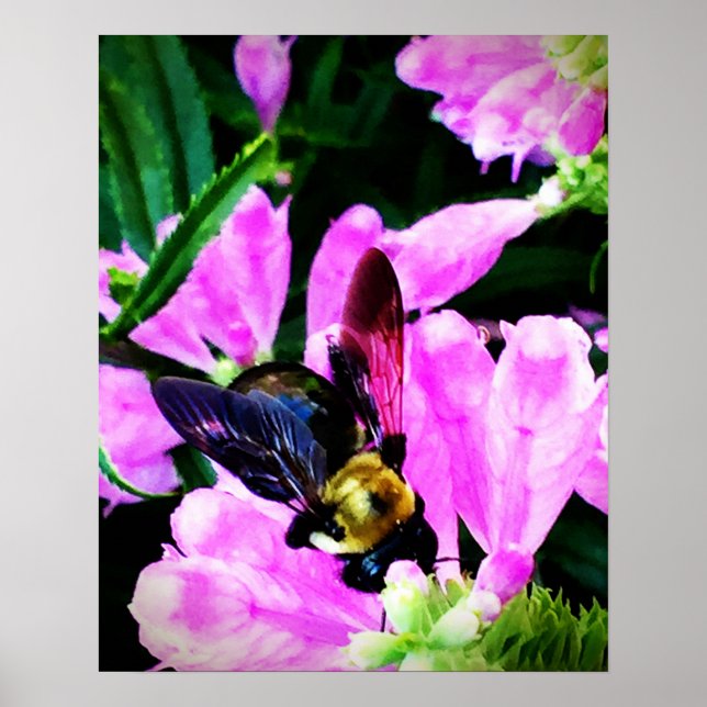 16" x 20" poster (semi-gloss)Bee's Eyes Collection (Front)