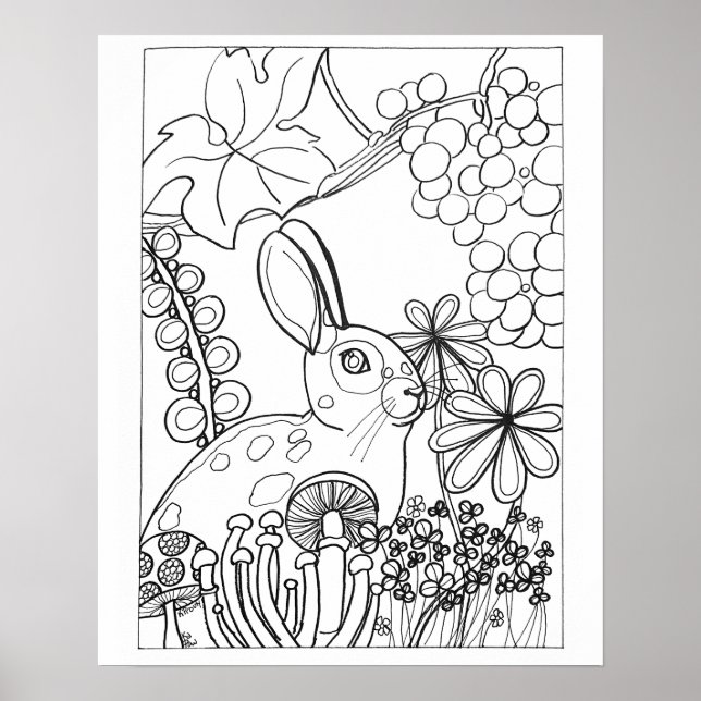 16"x 20" Spotted rabbit with grapes coloring Poster (Front)