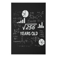 16 Year Old Bday Geeky Math 16th birthday Gift