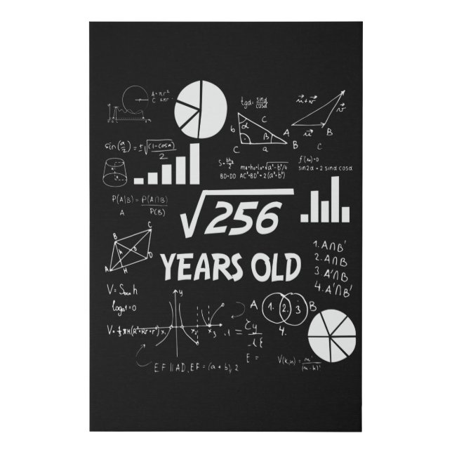 16 Year Old Bday Geeky Math 16th birthday Gift Faux Canvas Print (Front)