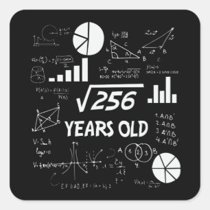 16 Year Old Bday Geeky Math 16th birthday Gift Square Sticker