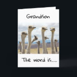 **16** YOU ARE NOW A TEENAGER **GRANDSON** CARD<br><div class="desc">HAPPY BIRTHDAY  ***GRANDSON**** THANKS FOR STOPPING BY ONE OF MY EIGHT STORES!</div>