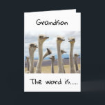**16** YOU ARE NOW A TEENAGER **GRANDSON** CARD<br><div class="desc">HAPPY BIRTHDAY  ***GRANDSON**** THANKS FOR STOPPING BY ONE OF MY EIGHT STORES!</div>