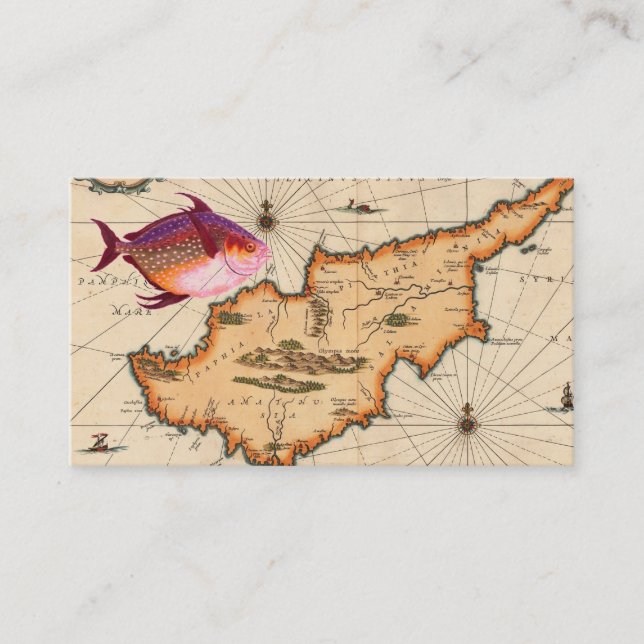 16th/17th Century Nautical Map Business Card (Front)