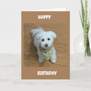 ***16th BIRTHDAY****A NEW DRIVER SOON! Card