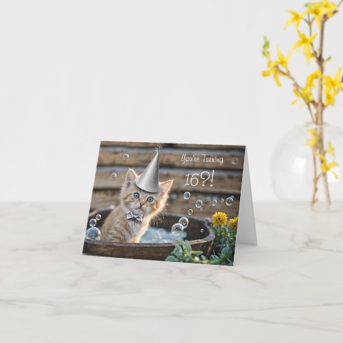 16th Birthday Cute and Funny Ginger Kitten Tub