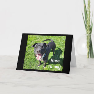 **16th BIRTHDAY** HUMOR FROM ONE COOL DOG Card