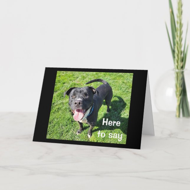 **16th BIRTHDAY** HUMOR FROM ONE COOL DOG Card (Front)