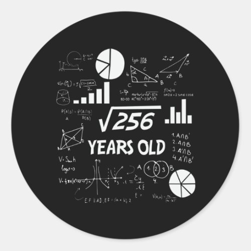 16th Birthday Square Root Math 16 Years Old Bday Classic Round Sticker