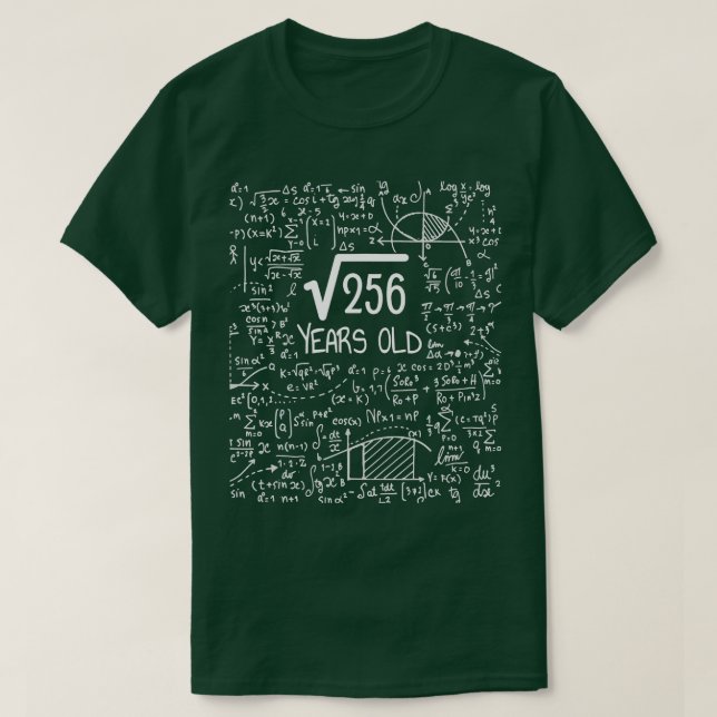 16th Birthday Square Root of 256 16 Years Old  T-Shirt (Design Front)