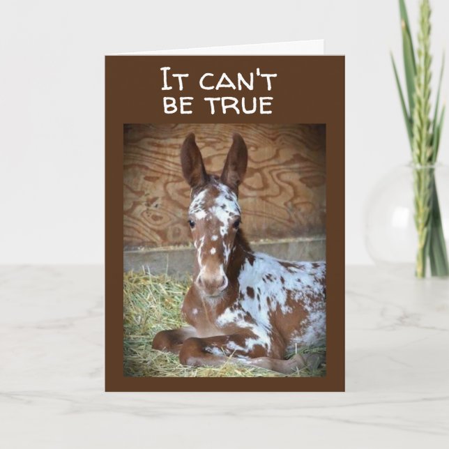 **16th BIRTHDAY** WISH FROM A COMEDIC HORSE Card (Front)