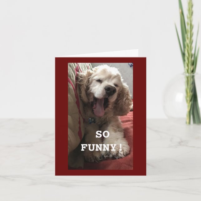 **16th BIRTHDAY WISH FROM COMEDIC SPANIEL** Card (Front)
