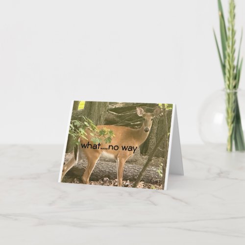 **16th** BIRTHDAY WISHES FROM ASTONISHED DEER