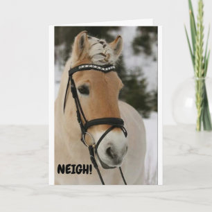 ***16th BIRTHDAY**** WOW SAYS SURPRISED HORSE Card