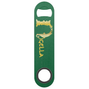 16th Century Celtic Knot Decorative Capital N Bar Key