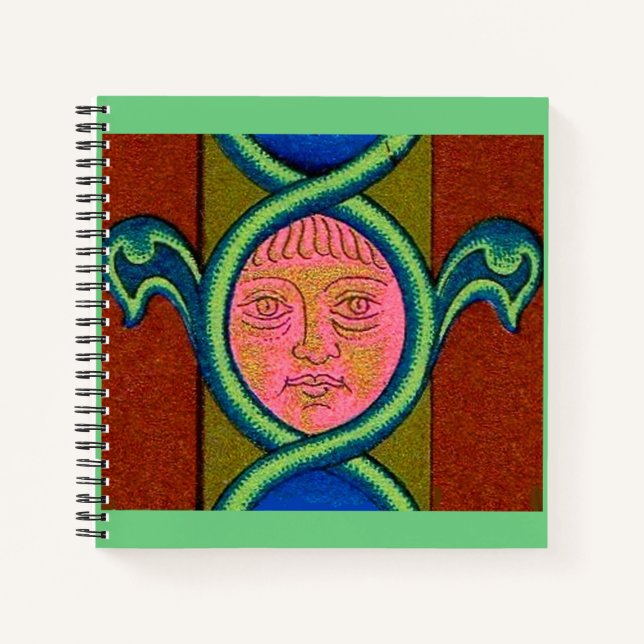 16th century found face notebook (Front)