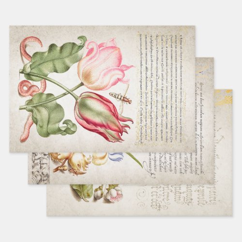 16TH CENTURY GARDEN  CALLIGRAPHY DECOUPAGE WRAPPI WRAPPING PAPER SHEETS