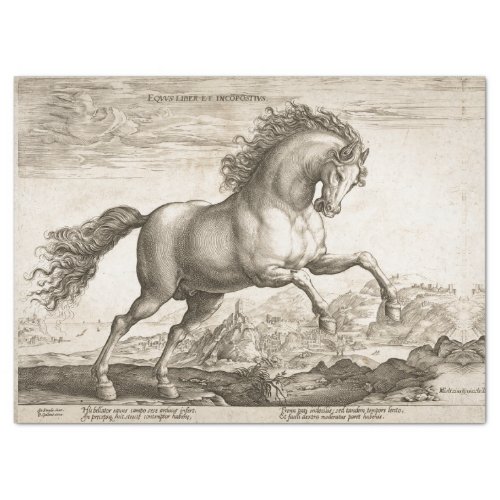 16TH CENTURY WILD HORSE ART TISSUE PAPER
