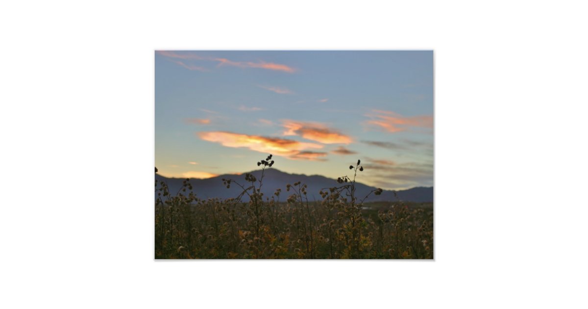 16 x 12 photo print tesco