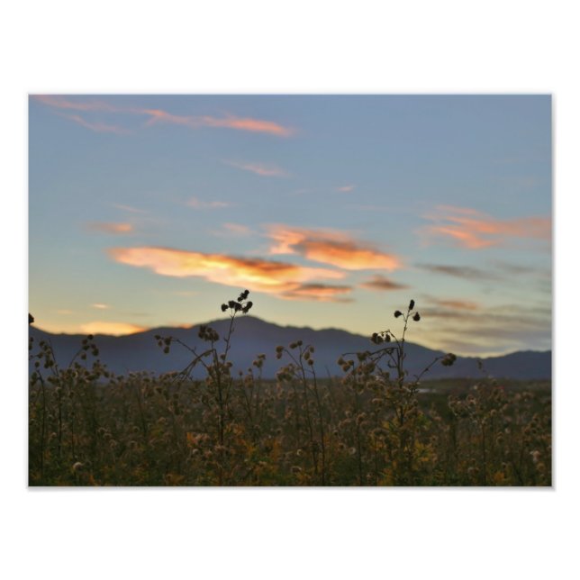 16x12 photo print (Front)