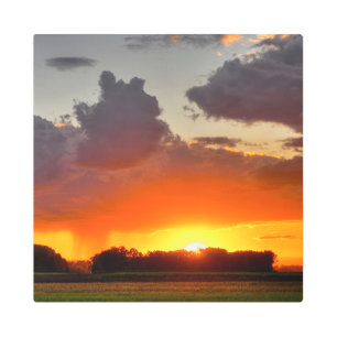 16x16 Metal Wall Art