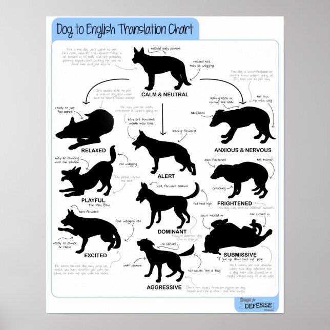 16x20 Body Language Poster (Front)