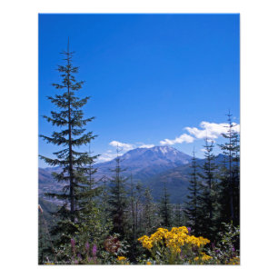 16x20 Mount St Helens Photo Print