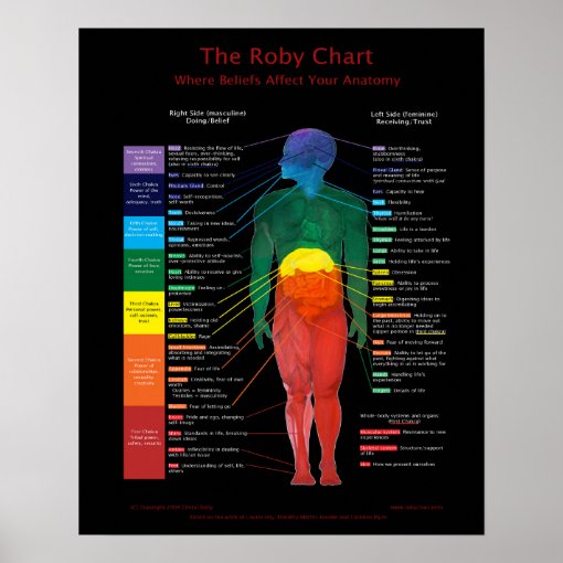 16x20" Roby ChartWhere beliefs affect anatomy Poster Zazzle