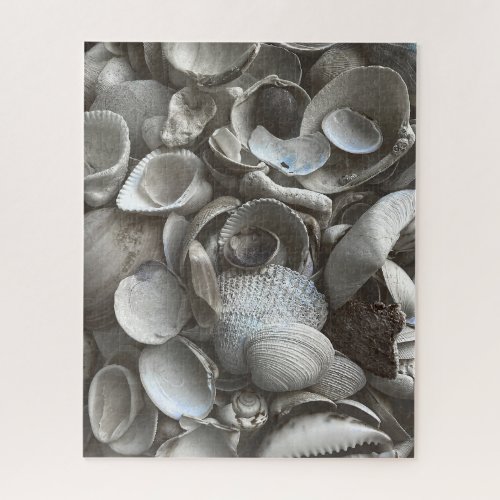 16x20 Shells Puzzle for Colorblind People