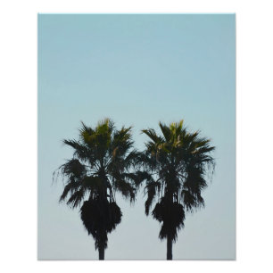 16x20 Summer Palm Trees Photo Print