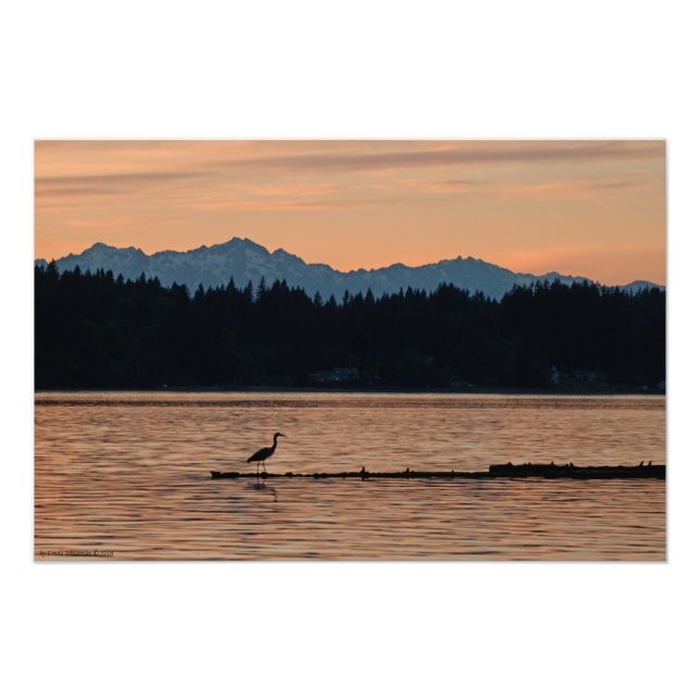 16X24 Sunset on the Olympic Mountains w/a Heron Photo Print (Front)